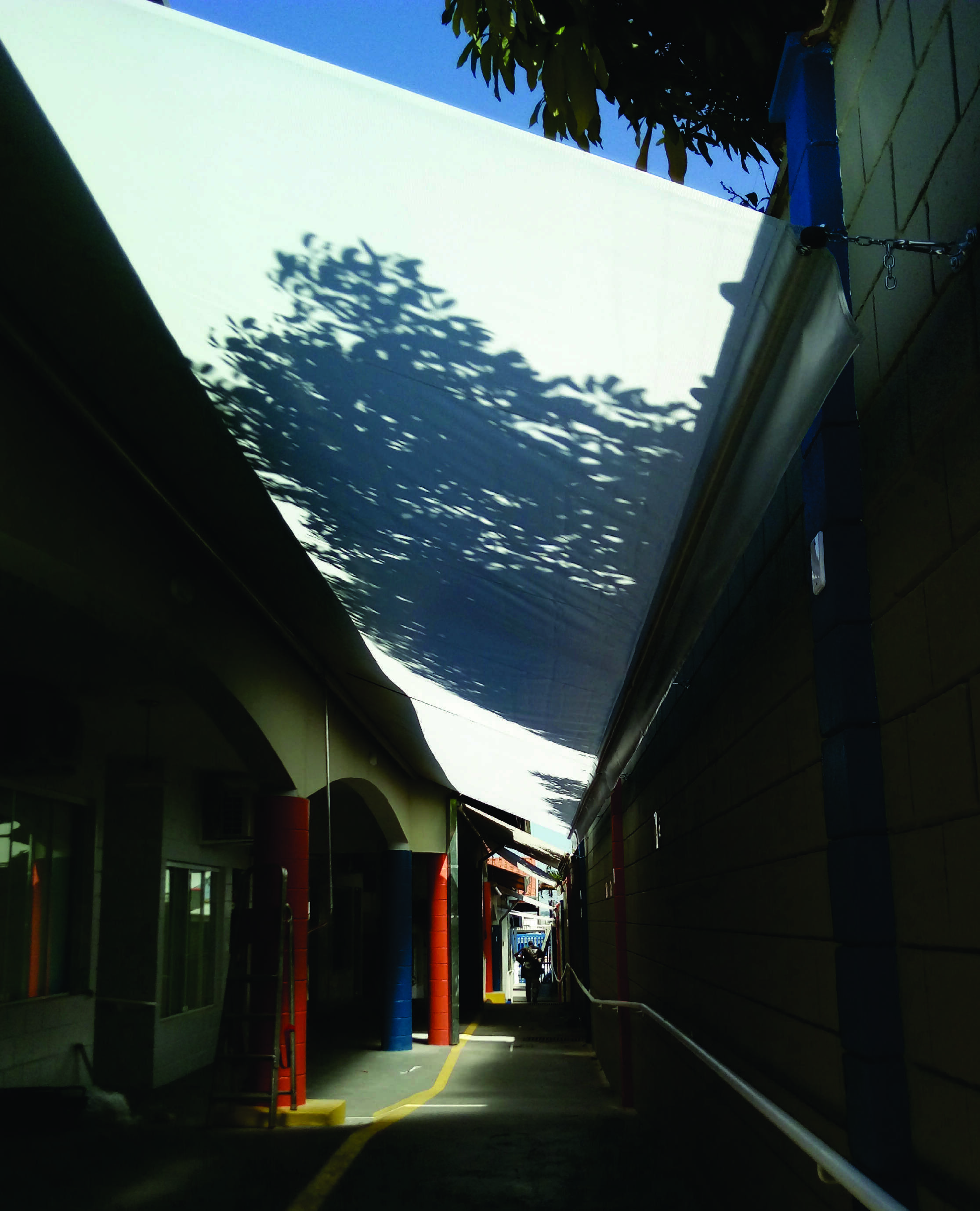 Kobertoldos - 460 11-min.jpg