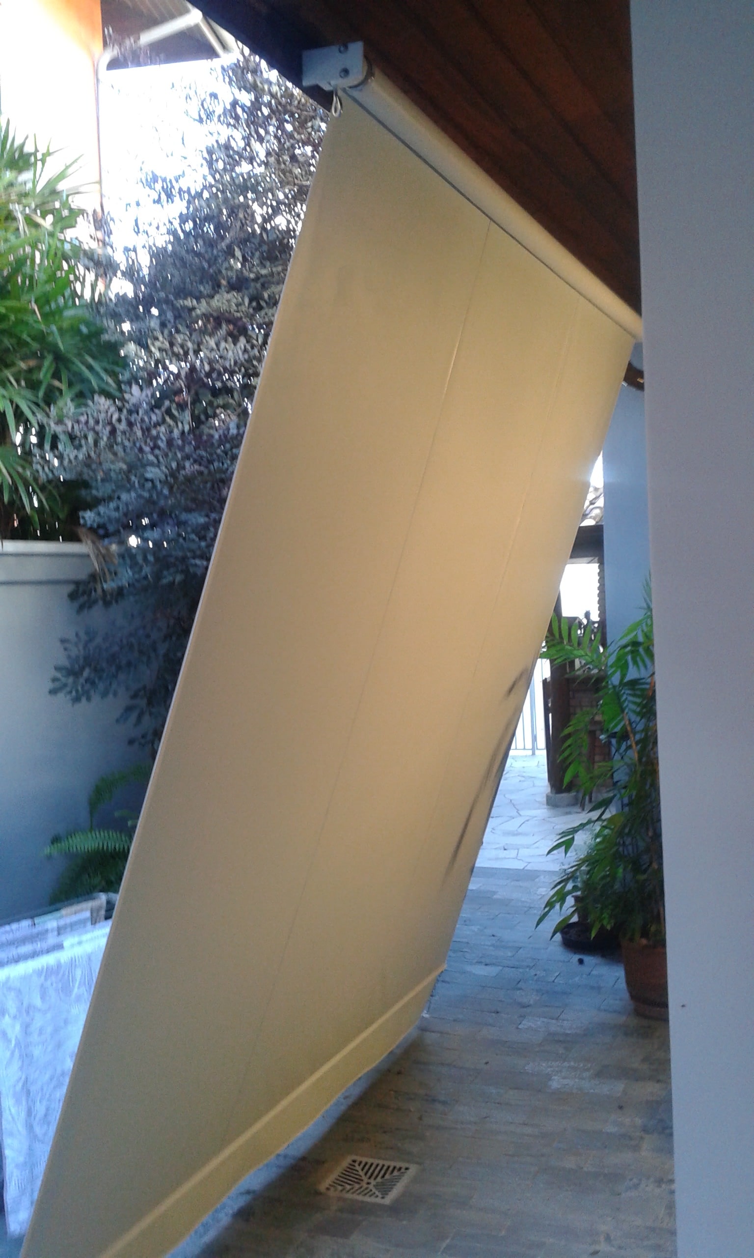 Kobertoldos - 460 3-min.jpg