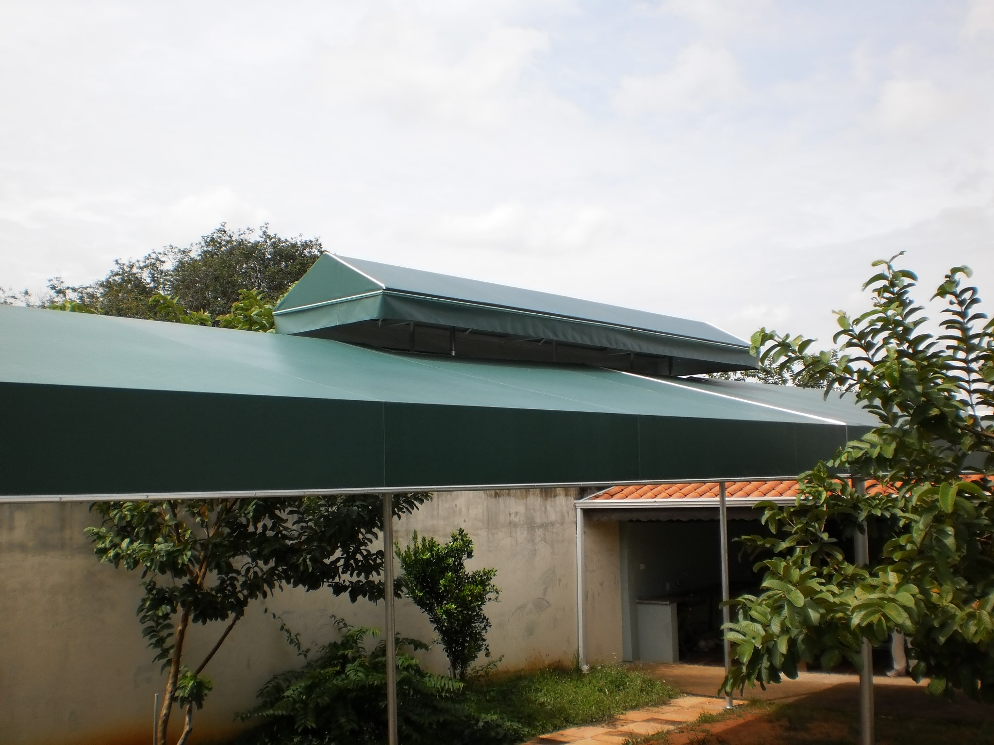 Kobertoldos - 530 3-min.JPG