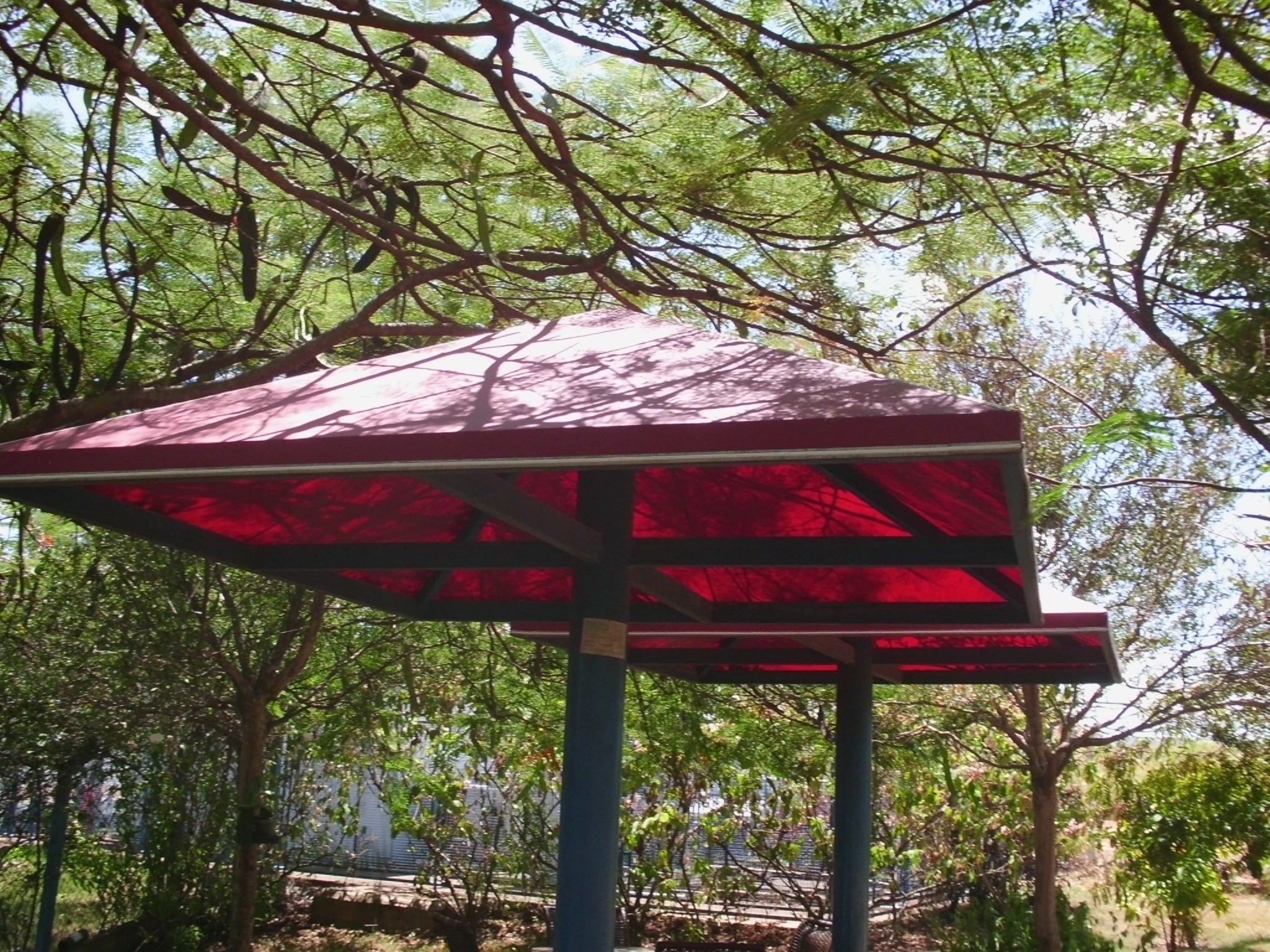 Kobertoldos - 600 4-min.JPG